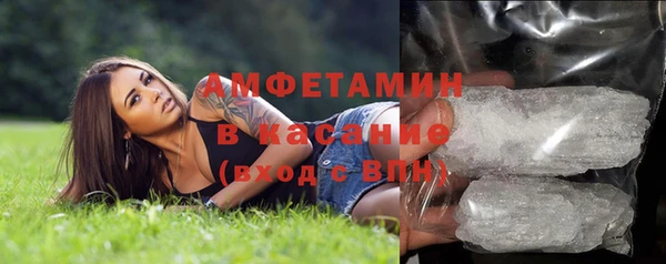 гашик Краснослободск